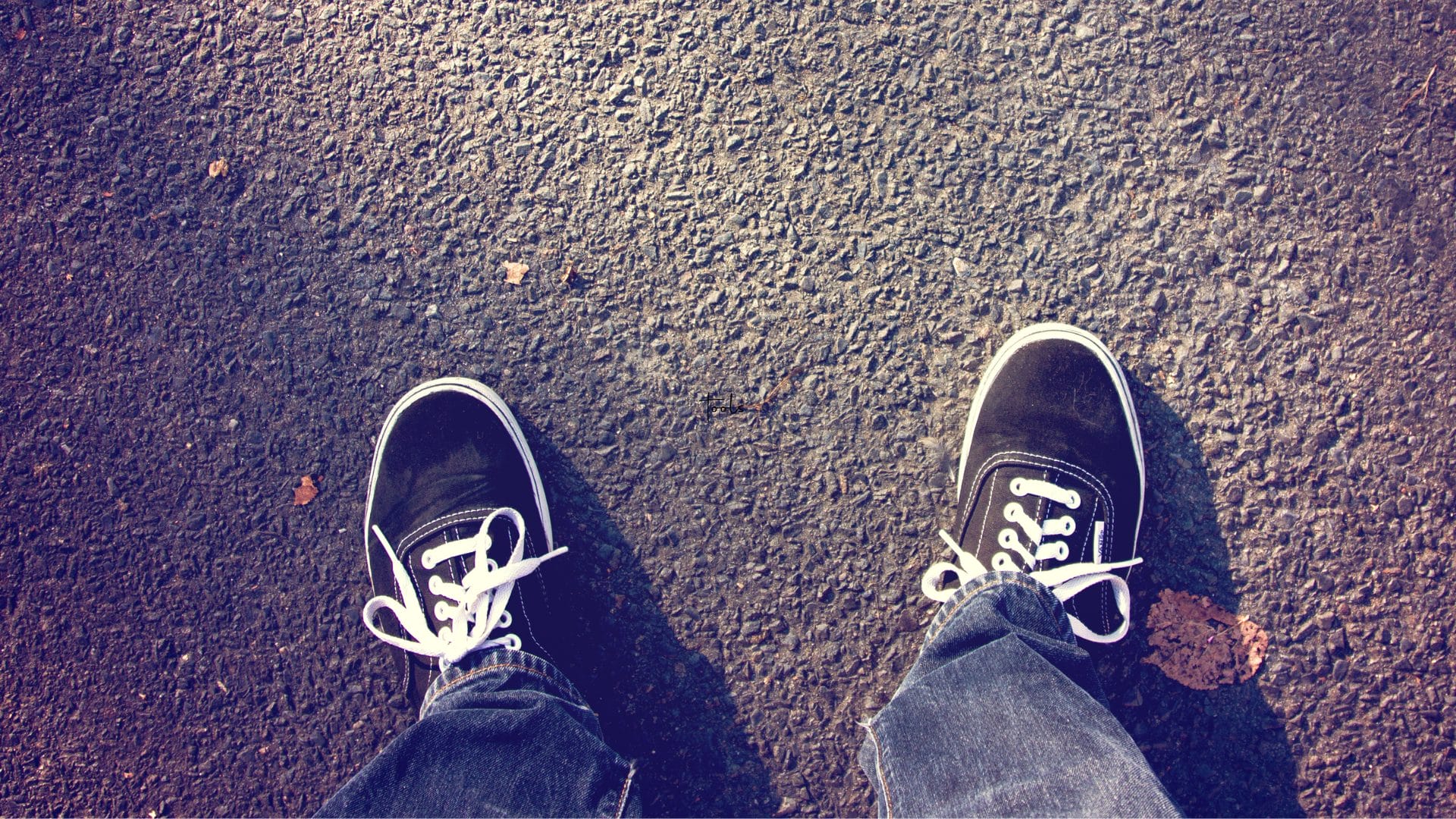 Walking on the Atlanta Beltline | Alkaloid Networks